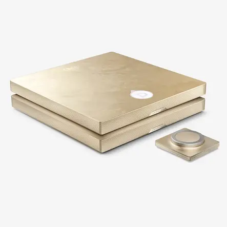 Усилитель Devialet Astra Opéra de Paris Gold Leaf STEREO, Цвет: Gold Leaf, Комплект : STEREO 