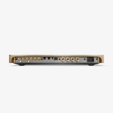 Усилитель Devialet Astra Opéra de Paris Gold Leaf MONO, Цвет: Gold Leaf, Комплект : MONO, изображение 8