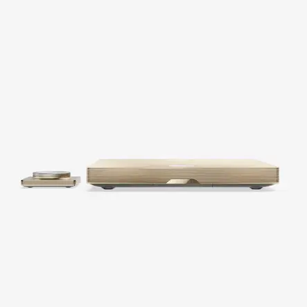 Усилитель Devialet Astra Opéra de Paris Gold Leaf MONO, Цвет: Gold Leaf, Комплект : MONO, изображение 7
